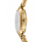 DKNY DK1L043M0055 Essential Mini Gold