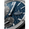 Alpina AL-650NDG4AE6B Extreme Automatic Mens Watch 41mm 20ATM